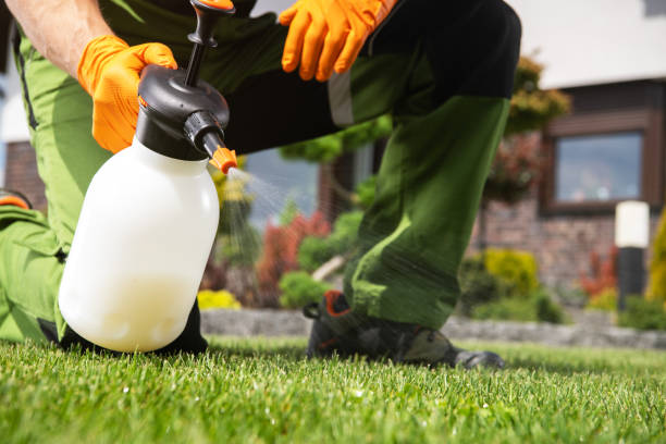 Best Wildlife Control Services  in Cave Spring, VA