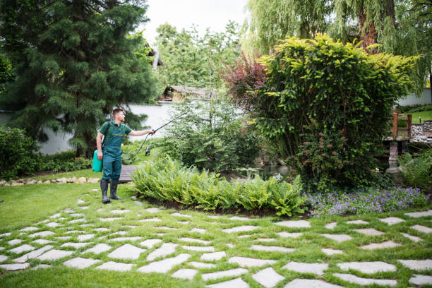 Best Best Pest Control Companies  in Cave Spring, VA