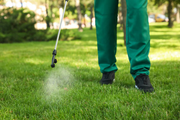 Best Best Pest Control Companies  in Cave Spring, VA