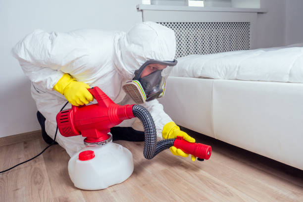 Insect Control in Cave Spring, VA
