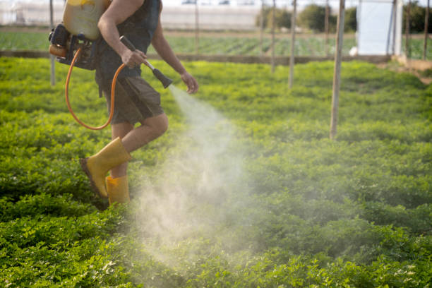 Best Mosquito Control Services  in Cave Spring, VA