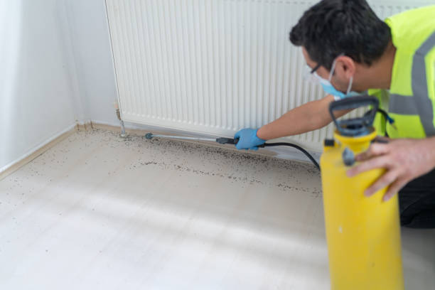 Best Affordable Pest Control Services  in Cave Spring, VA