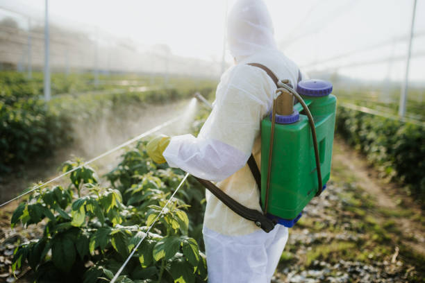 Best Affordable Pest Control Services  in Cave Spring, VA